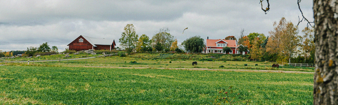 Bröderna Bladins Maskinstation